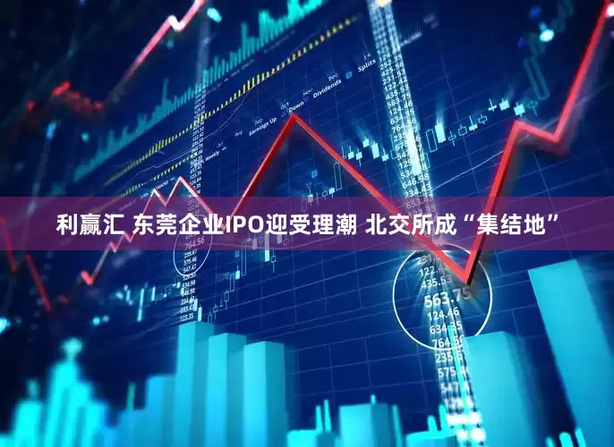 利赢汇 东莞企业IPO迎受理潮 北交所成“集结地”
