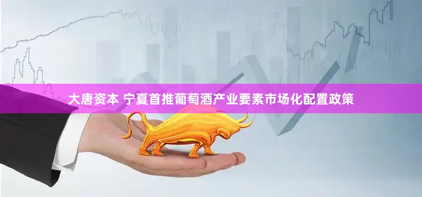大唐资本 宁夏首推葡萄酒产业要素市场化配置政策