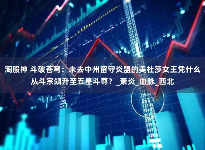 淘股神 斗破苍穹：未去中州留守炎盟的美杜莎女王凭什么从斗宗飙升至五星斗尊？_萧炎_血脉_西北