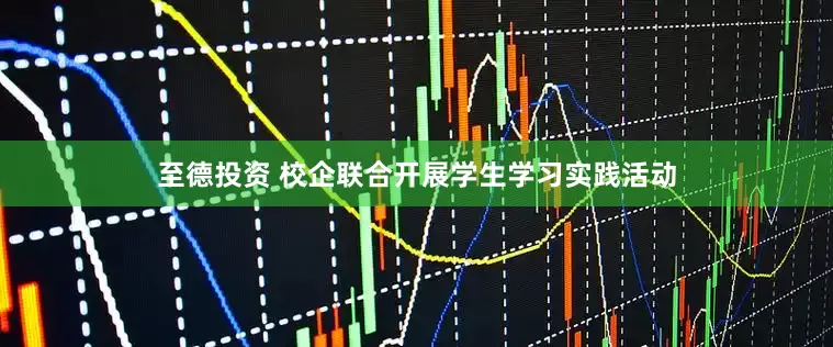 至德投资 校企联合开展学生学习实践活动