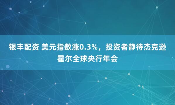 银丰配资 美元指数涨0.3%，投资者静待杰克逊霍尔全球央行年会